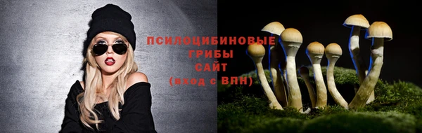крисы Нягань