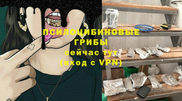 крисы Нягань