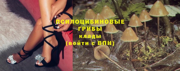 крисы Нягань
