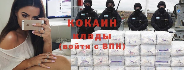 крисы Нягань