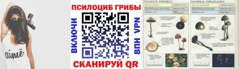 Галлюциногенные грибы ЛСД  Борзя 