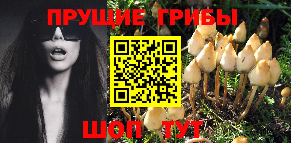 Псилоцибиновые грибы MAGIC MUSHROOMS  Вход с VPN  Борзя  Псилоцибиновые грибы ЛСД 