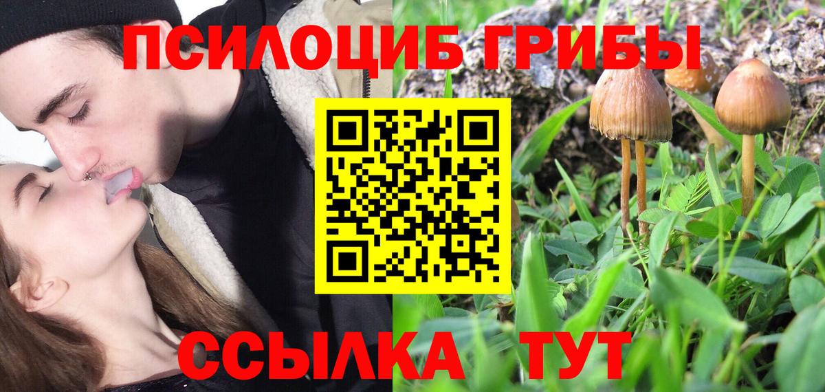 Галлюциногенные грибы мухоморы Борзя