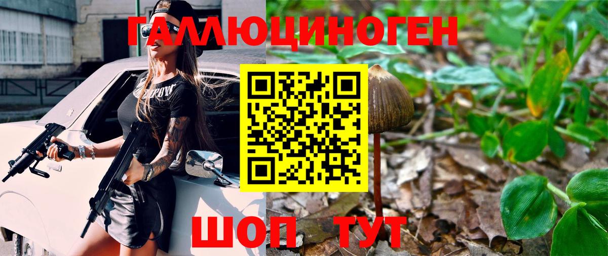 Галлюциногенные грибы прущие грибы  Борзя  Галлюциногенные грибы ЛСД 