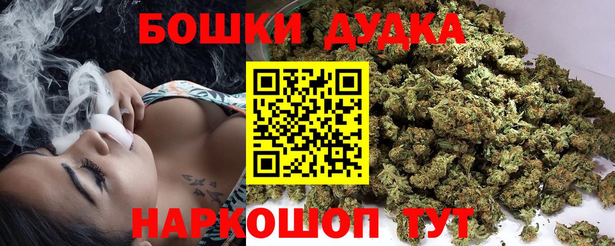 Бошки Шишки семена Борзя